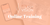 lash vision, online, eyelash, extension, training, classic, course, learn, lashes